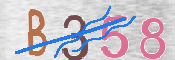 CAPTCHA (Şahıs Denetim Kodu) Resmi