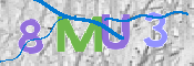 CAPTCHA (Şahıs Denetim Kodu) Resmi