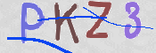 CAPTCHA (Şahıs Denetim Kodu) Resmi