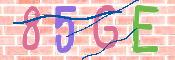 CAPTCHA (Şahıs Denetim Kodu) Resmi