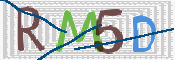 CAPTCHA (Şahıs Denetim Kodu) Resmi