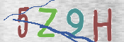 CAPTCHA (Şahıs Denetim Kodu) Resmi