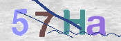CAPTCHA (Şahıs Denetim Kodu) Resmi