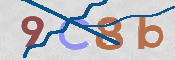 CAPTCHA (Şahıs Denetim Kodu) Resmi