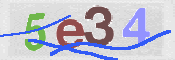 CAPTCHA (Şahıs Denetim Kodu) Resmi