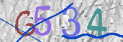CAPTCHA (Şahıs Denetim Kodu) Resmi