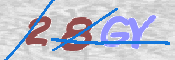 CAPTCHA (Şahıs Denetim Kodu) Resmi