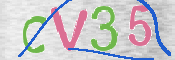 CAPTCHA (Şahıs Denetim Kodu) Resmi