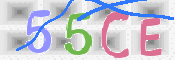 CAPTCHA (Şahıs Denetim Kodu) Resmi