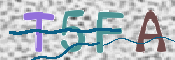 CAPTCHA (Şahıs Denetim Kodu) Resmi