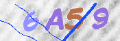 CAPTCHA (Şahıs Denetim Kodu) Resmi