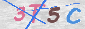 CAPTCHA (Şahıs Denetim Kodu) Resmi