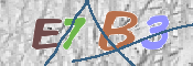 CAPTCHA (Şahıs Denetim Kodu) Resmi