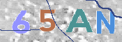 CAPTCHA (Şahıs Denetim Kodu) Resmi