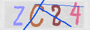 CAPTCHA (Şahıs Denetim Kodu) Resmi