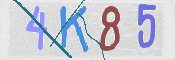 CAPTCHA (Şahıs Denetim Kodu) Resmi
