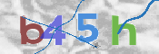 CAPTCHA (Şahıs Denetim Kodu) Resmi
