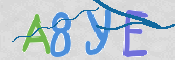 CAPTCHA (Şahıs Denetim Kodu) Resmi