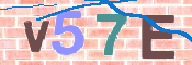 CAPTCHA (Şahıs Denetim Kodu) Resmi