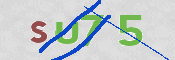 CAPTCHA (Şahıs Denetim Kodu) Resmi