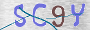 CAPTCHA (Şahıs Denetim Kodu) Resmi