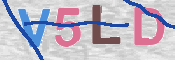 CAPTCHA (Şahıs Denetim Kodu) Resmi