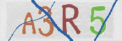 CAPTCHA (Şahıs Denetim Kodu) Resmi
