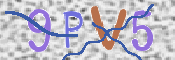 CAPTCHA (Şahıs Denetim Kodu) Resmi