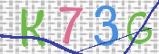 CAPTCHA (Şahıs Denetim Kodu) Resmi