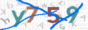 CAPTCHA (Şahıs Denetim Kodu) Resmi