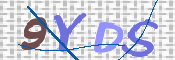 CAPTCHA (Şahıs Denetim Kodu) Resmi