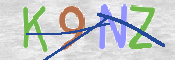 CAPTCHA (Şahıs Denetim Kodu) Resmi