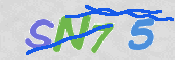 CAPTCHA (Şahıs Denetim Kodu) Resmi