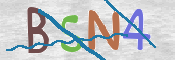 CAPTCHA (Şahıs Denetim Kodu) Resmi