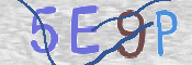CAPTCHA (Şahıs Denetim Kodu) Resmi