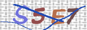 CAPTCHA (Şahıs Denetim Kodu) Resmi