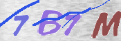 CAPTCHA (Şahıs Denetim Kodu) Resmi