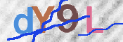 CAPTCHA (Şahıs Denetim Kodu) Resmi