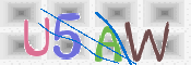 CAPTCHA (Şahıs Denetim Kodu) Resmi