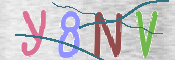 CAPTCHA (Şahıs Denetim Kodu) Resmi