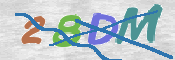 CAPTCHA (Şahıs Denetim Kodu) Resmi