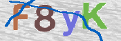 CAPTCHA (Şahıs Denetim Kodu) Resmi