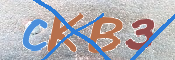 CAPTCHA (Şahıs Denetim Kodu) Resmi