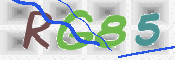 CAPTCHA (Şahıs Denetim Kodu) Resmi