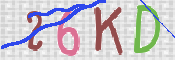 CAPTCHA (Şahıs Denetim Kodu) Resmi