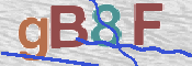 CAPTCHA (Şahıs Denetim Kodu) Resmi