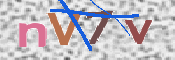 CAPTCHA (Şahıs Denetim Kodu) Resmi
