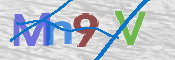 CAPTCHA (Şahıs Denetim Kodu) Resmi