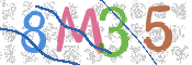 CAPTCHA (Şahıs Denetim Kodu) Resmi