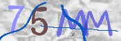 CAPTCHA (Şahıs Denetim Kodu) Resmi